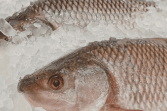 escamas de pescado y cristales de hielo