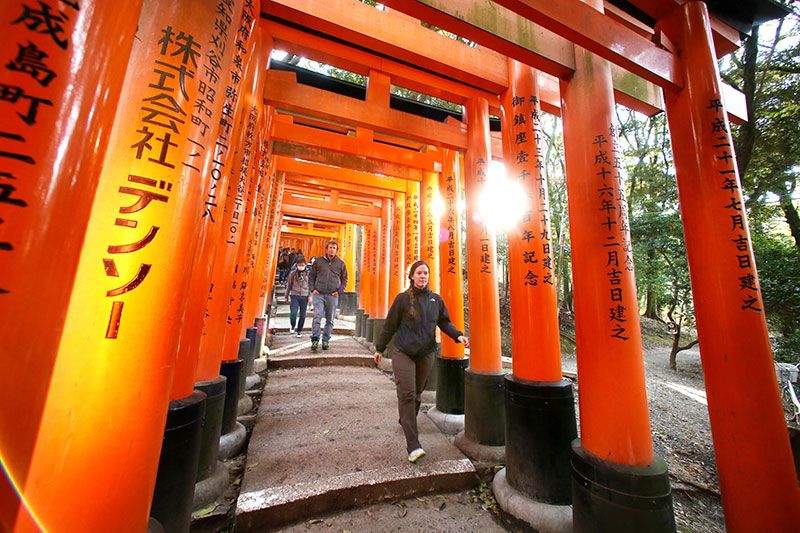 穿梭在「千本鳥居」（「千本」意思是一千座，比喻鳥居數目眾多