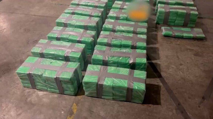 Narcotráfico detenido: 504 paquetes de cocaína hallados en Moín