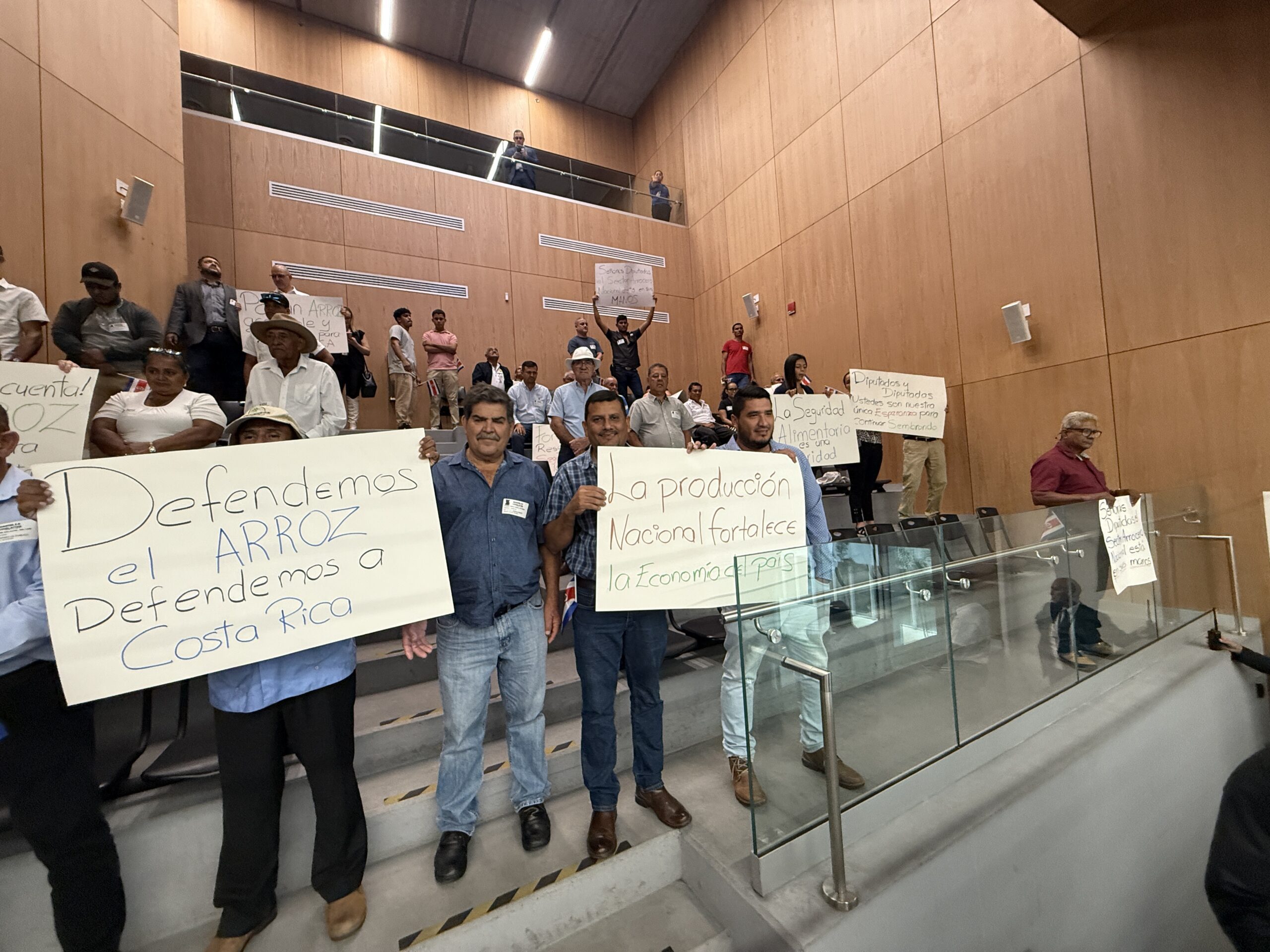 “Producción arrocera Costa Rica seguridad alimentaria”