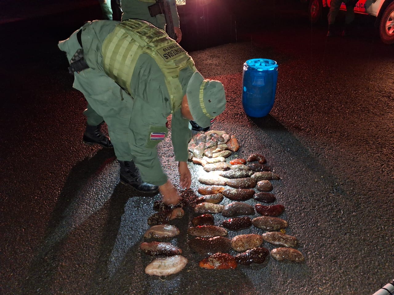 Pesca ilegal de pepinos de mar en La Cruz Guanacaste 2025