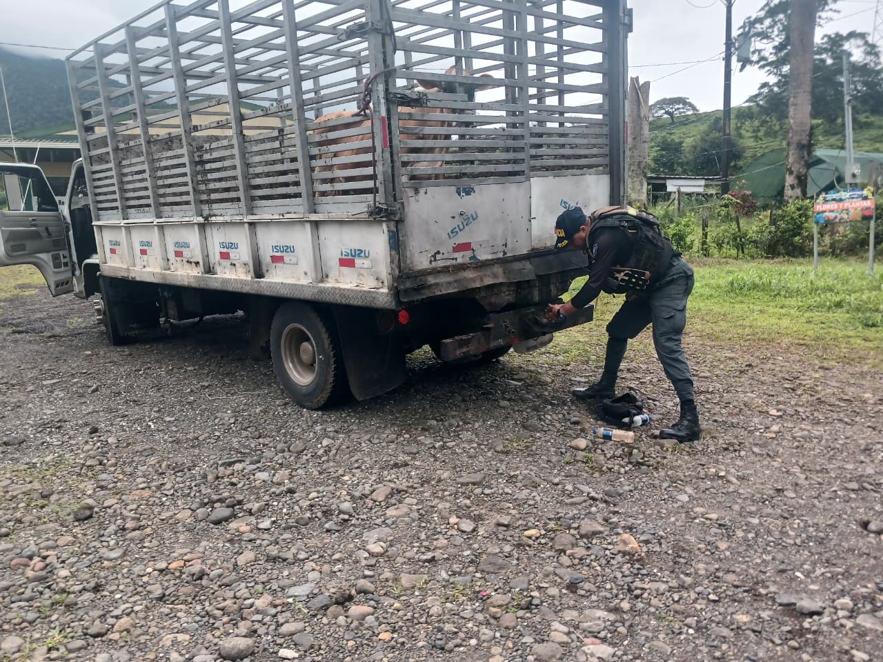 Licencia falsa en operativo de Upala