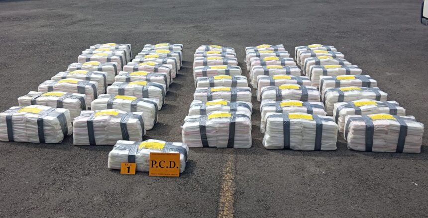 incautación cocaína Moín contenedor puerto Limón yuca escáner