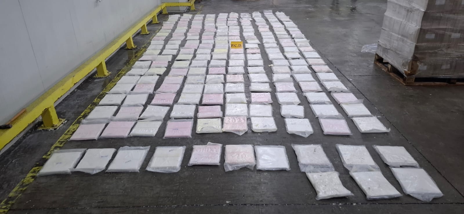 incautación cocaína Moín contenedor puerto Limón yuca escáner