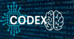 codex-openai