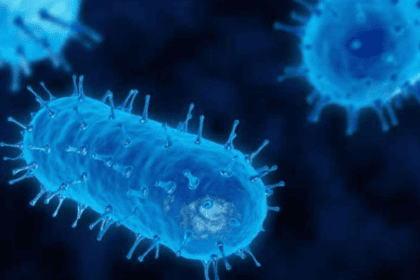 amebas-compuesto-marino-infecciones