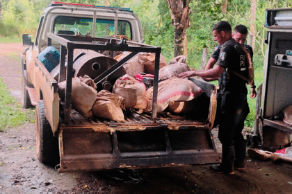 minería ilegal Chorreras Cutris Fuerza Pública