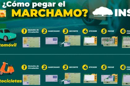 Sticker del marchamo 2025 en parabrisas del vehículo