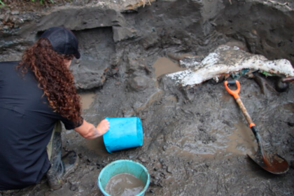 mastodonte, Cartago, Museo Nacional, megafauna, fósiles, paleontología, Ministerio de Cultura, patrimonio natural, turismo científico, historia natural