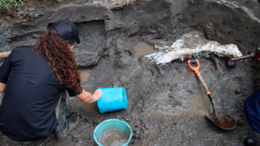 mastodonte, Cartago, Museo Nacional, megafauna, fósiles, paleontología, Ministerio de Cultura, patrimonio natural, turismo científico, historia natural