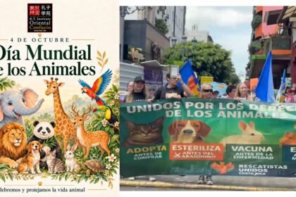 animales-marcha-nacional-derechos-bienestar-animal