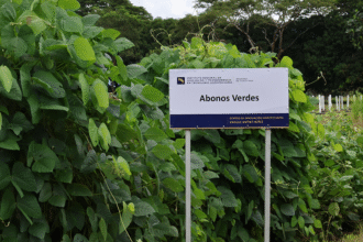 resiliencia agropecuaria Guanacaste FAO MAG INTA