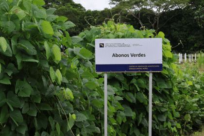resiliencia agropecuaria Guanacaste FAO MAG INTA