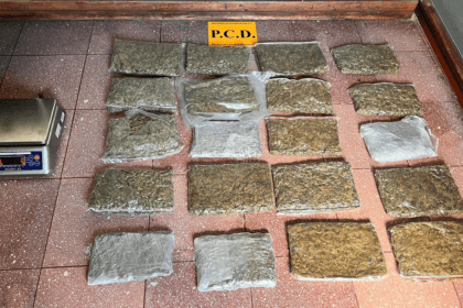 decomiso de droga: evidencia de marihuana, cocaína, armas y dinero