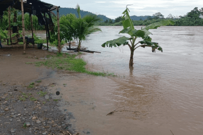 empuje, Caribe, río Sixaola, inundaciones, CNE, alerta verde, lluvias, viento, mar picado, Costa Rica