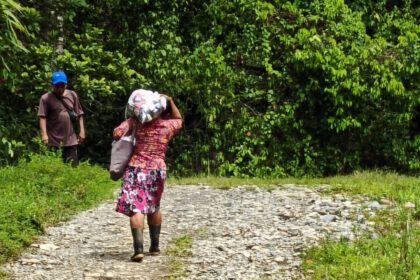 CNE mantiene atención por emergencia en Talamanca