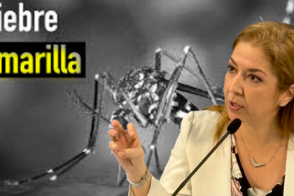 Salud refuerza emergencia por fiebre amarilla en viajeros