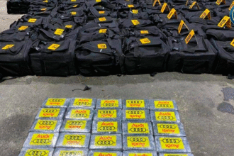 incautaciones de cocaína en Costa Rica