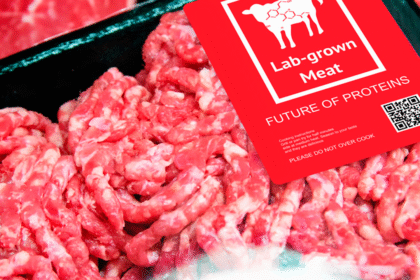 新加坡培育肉 可持续食品