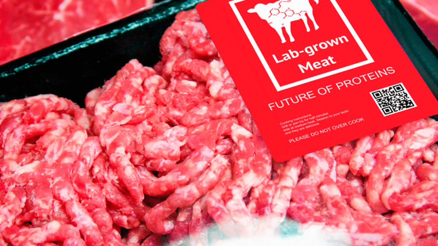 新加坡培育肉 可持续食品