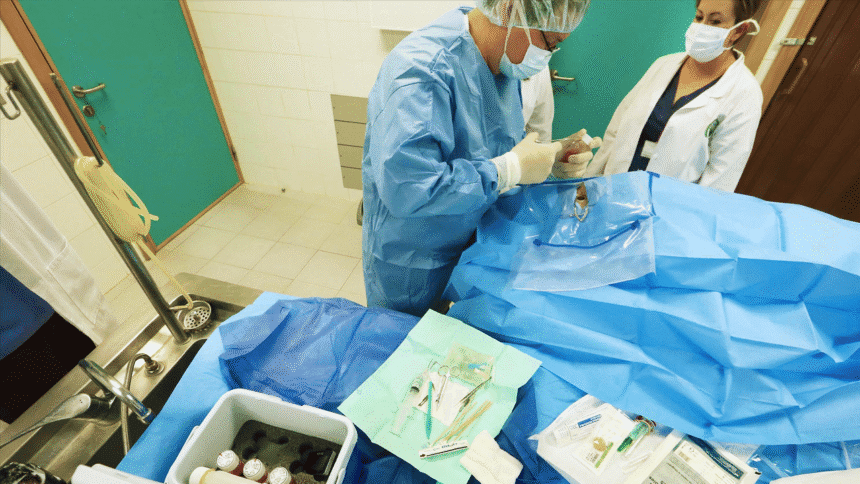 Ministerio de Salud celebra récord en donación de órganos en Costa Rica 2025.