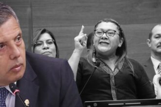 Diputada Sonia Rojas