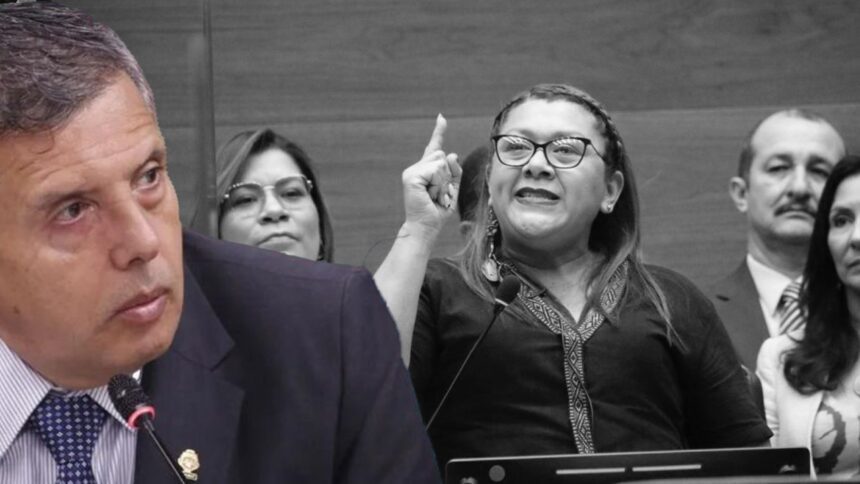 Diputada Sonia Rojas