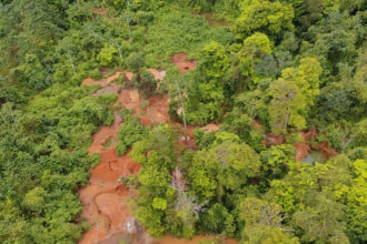  Terror ambiental en Conchudita: Zamora lidera operativo