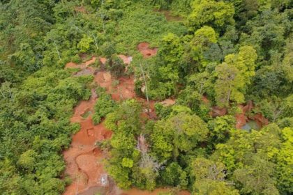  Terror ambiental en Conchudita: Zamora lidera operativo