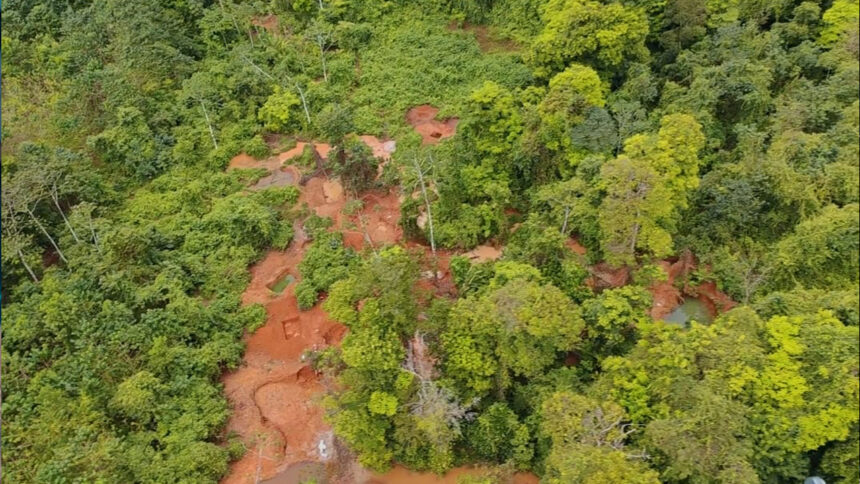  Terror ambiental en Conchudita: Zamora lidera operativo