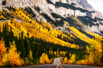 Les Stroud explora aventuras al aire libre en Canadá con paisajes naturales.