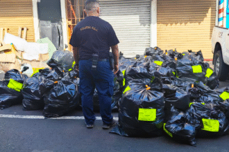 allanamientos por propiedad intelectual en Alajuela