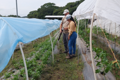 INTA celebra 60 años