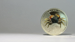 Moneda coleccionable del cangrejo violinista emitida por el Banco Central de Costa Rica.