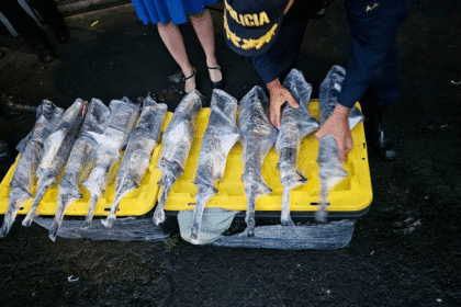 decomiso de armas en Limón autobús Fuerza Pública K9