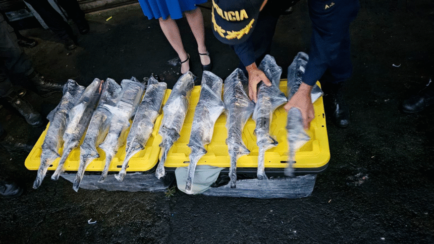 decomiso de armas en Limón autobús Fuerza Pública K9