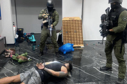 desarticulación de organización