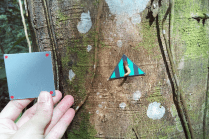 Imagen de Estrategias Antidepredatorias en animales estudiados