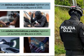 OIJ 2025: estafas y homicidios