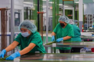 dispositivos médicos