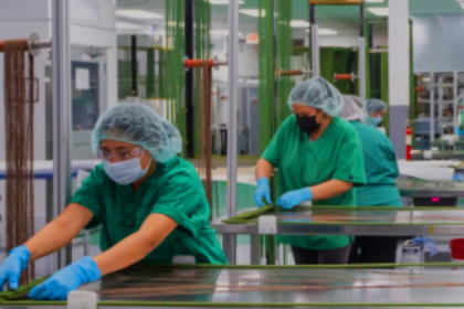 dispositivos médicos