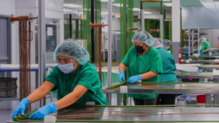 dispositivos médicos