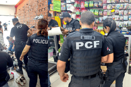 Cayeron 5.300 productos falsificados