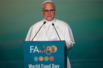 教皇警示饥饿 联合国大会讲话现场