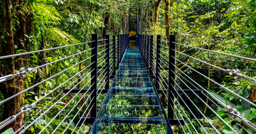 Puente de vidrio en Monteverde