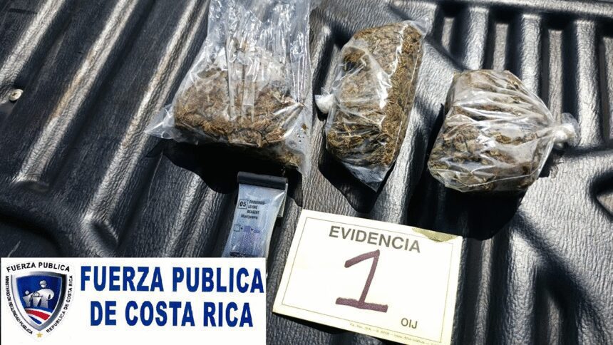 Fuerza Pública marihuana decomiso