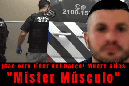 Míster Músculo