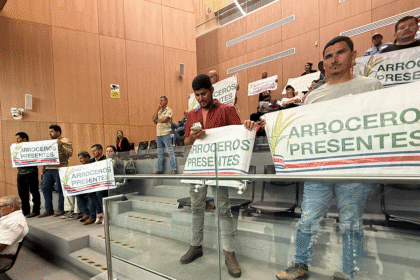 Productores arroceros frente a la Asamblea
