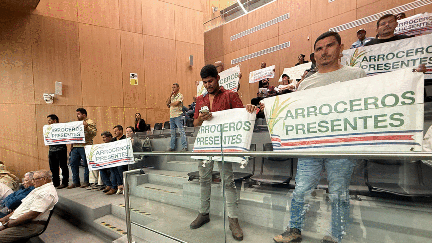 Productores arroceros frente a la Asamblea