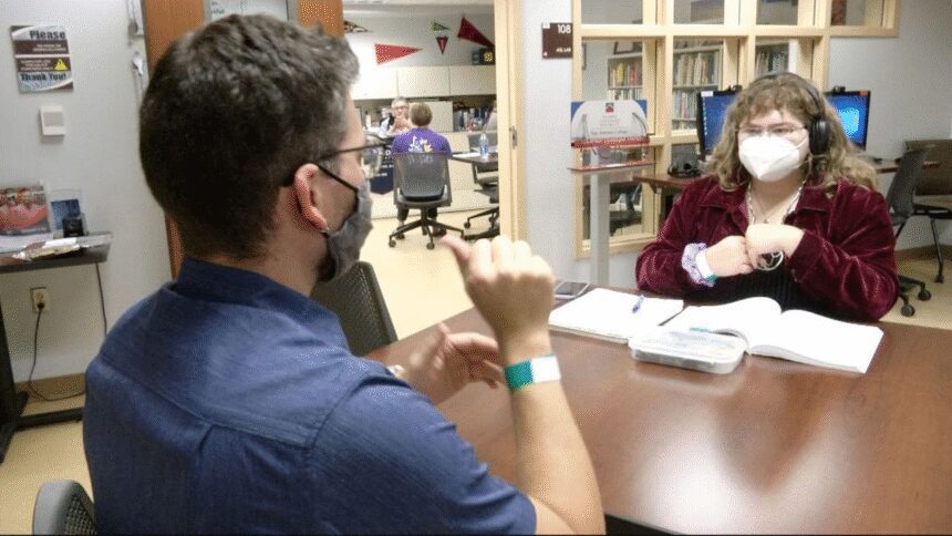 interpretación LESCO INS